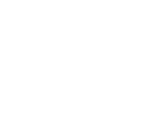 Quality Speakers
